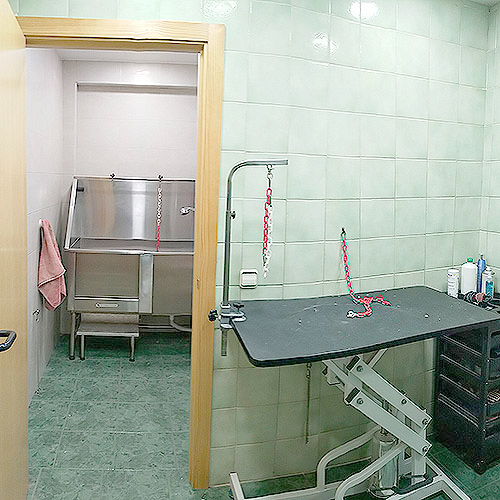 Peluquería Clinica Veterinaria Albeitar-Talavera
